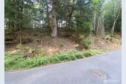 39 Stable Lane, Bellingham, WA 98229 - Photo 1