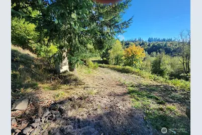 4733 Green Mountain Road, Kalama, WA 98625 - Photo 13