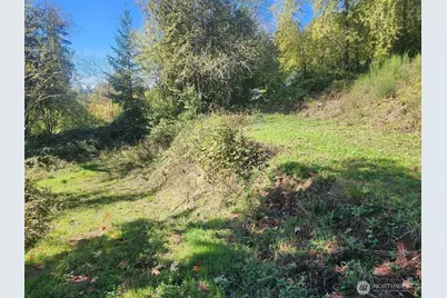 4733 Green Mountain Road, Kalama, WA 98625 - Photo 11
