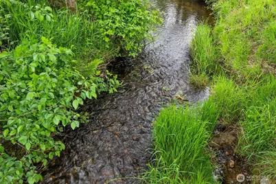 154 Sanderson Road, Chehalis, WA 98532 - Photo 23