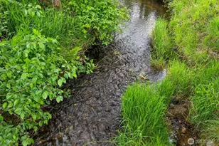 154 Sanderson Rd, Chehalis, WA 98532 - Photo 23