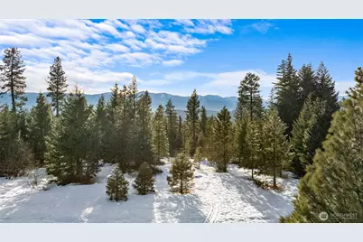 0 Xxx Mountain Ridge Road, Roslyn, WA 98941 - Photo 19