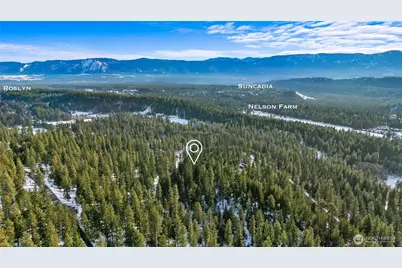 0 Xxx Mountain Ridge Road, Roslyn, WA 98941 - Photo 11