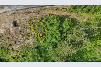 143 Bootjack Lane #Lot 1, Kelso, WA 98626 - Photo 23