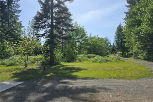 147 21 Morris Rd, Randle, WA 98377 - Photo 9