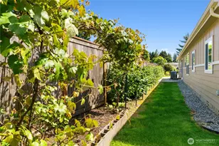 3516 Meadowbrook Ln SE, Lacey, WA 98503 - Photo 5