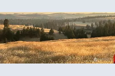 0 Lot 1 Main Street #Block, Malden, WA 99149 - Photo 3