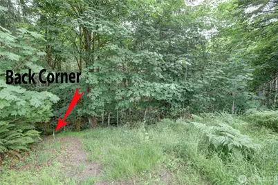 15 E Smith Cove Way, Shelton, WA 98584 - Photo 9