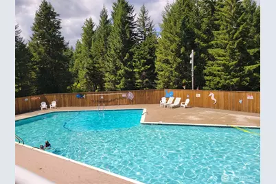 321 N Lake Surf Drive, Lilliwaup, WA 98555 - Photo 39