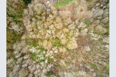 13500 NE 406th Street, Amboy, WA 98601 - Photo 9