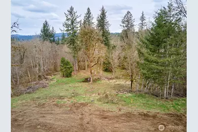 13500 NE 406th Street, Amboy, WA 98601 - Photo 25
