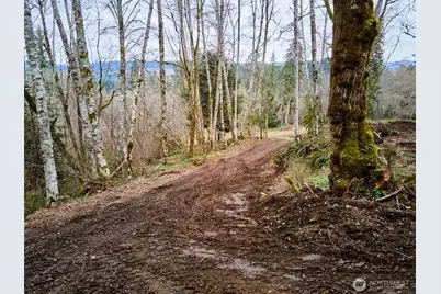 13500 NE 406th Street, Amboy, WA 98601 - Photo 19