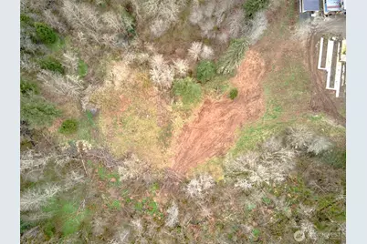 13500 NE 406th Street, Amboy, WA 98601 - Photo 5