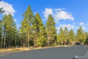 131 Gold Leaf Ln, Cle Elum, WA 98922 - Photo 5