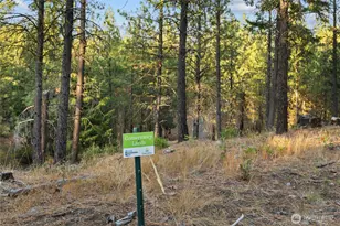 131 Gold Leaf Ln, Cle Elum, WA 98922 - Photo 11