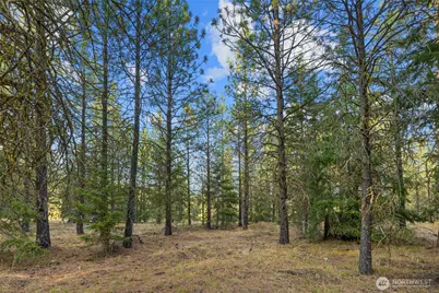 131 Gold Leaf Lane, Cle Elum, WA 98922 - Photo 9