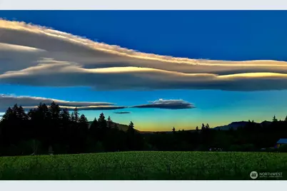 391 Newell Rd, Underwood, WA 98651 - Photo 15