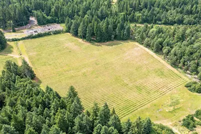 391 Newell Rd, Underwood, WA 98651 - Photo 3