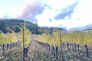 391 Newell Rd, Underwood, WA 98651 - Photo 21