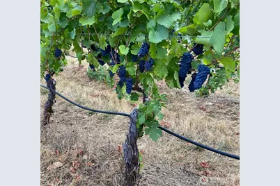 391 Newell Rd, Underwood, WA 98651 - Photo 17