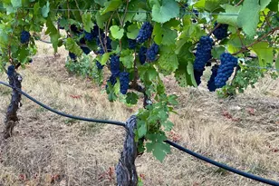 391 Newell Rd, Underwood, WA 98651 - Photo 17