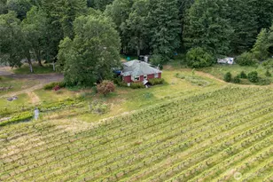 391 Newell Rd, Underwood, WA 98651 - Photo 7