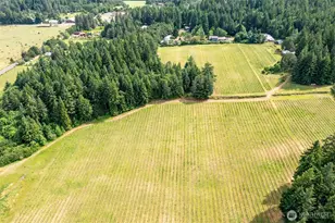 391 Newell Rd, Underwood, WA 98651 - Photo 5