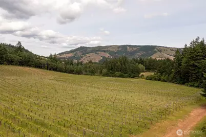 391 Newell Rd, Underwood, WA 98651 - Photo 9