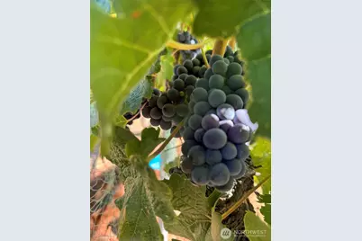 70 E Wapato Lake Road, Manson, WA 98831 - Photo 27