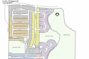 715 Maggee St SE, Lacey, WA 98513 - Photo 35