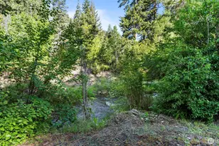 136 Tamarack Ln, Dayton, WA 99328 - Photo 31