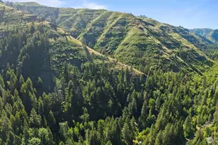 136 Tamarack Ln, Dayton, WA 99328 - Photo 37