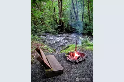 423 Lords Lake Loop, Quilcene, WA 98376 - Photo 37