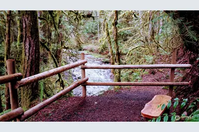 423 Lords Lake Loop, Quilcene, WA 98376 - Photo 33