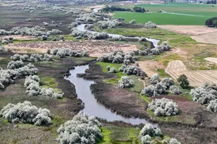 8708 Road K Road NE, Moses Lake, WA 98837 - Photo 31