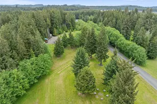 132 River Park Rd, Forks, WA 98331 - Photo 39