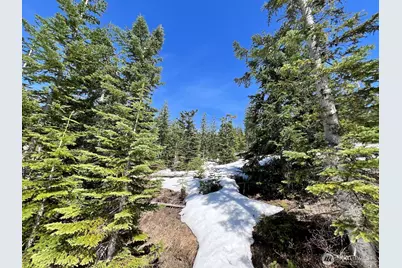 0 Xxxx Spirit Lake Hwy, Skamania, WA 98648 - Photo 29