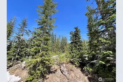 0 Xxxx Spirit Lake Hwy, Skamania, WA 98648 - Photo 27