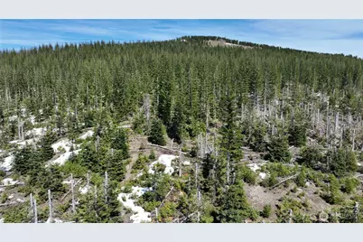 0 Xxxx Spirit Lake Hwy, Skamania, WA 98648 - Photo 19