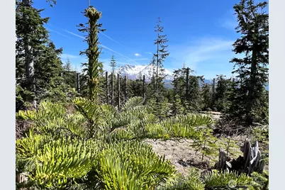 0 Xxxx Spirit Lake Hwy, Skamania, WA 98648 - Photo 39