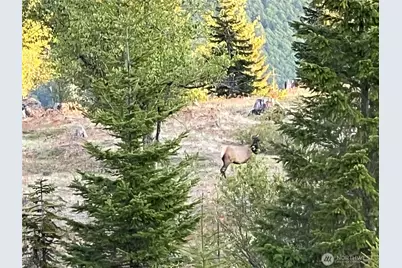 0 Xxxx Spirit Lake Hwy, Skamania, WA 98648 - Photo 21