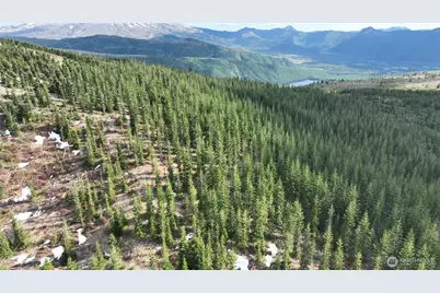 0 Xxxx Spirit Lake Hwy, Skamania, WA 98648 - Photo 5