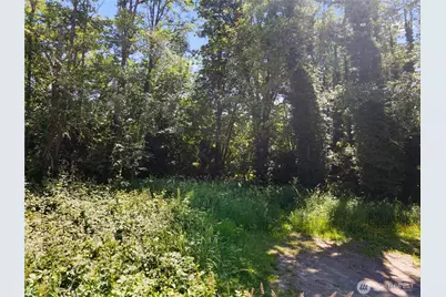 0 12th Avenue SE, Olympia, WA 98501 - Photo 7