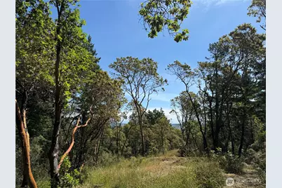 0 Nordkapp Lane, Friday Harbor, WA 98250 - Photo 11