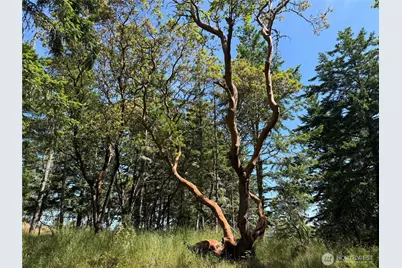 0 Nordkapp Lane, Friday Harbor, WA 98250 - Photo 7