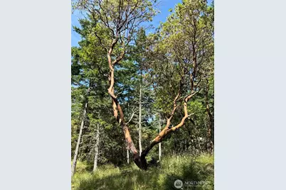 0 Nordkapp Lane, Friday Harbor, WA 98250 - Photo 13