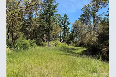 0 Nordkapp Lane, Friday Harbor, WA 98250 - Photo 17