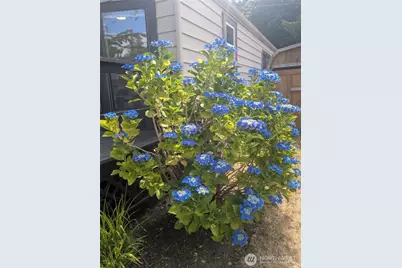 1506 Shuksan Dr, Camano Island, WA 98282 - Photo 23