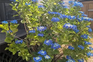 1506 Shuksan Dr, Camano Island, WA 98282 - Photo 23