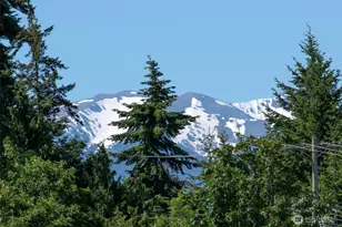 40 Cascadia Loop, Sequim, WA 98382 - Photo 35